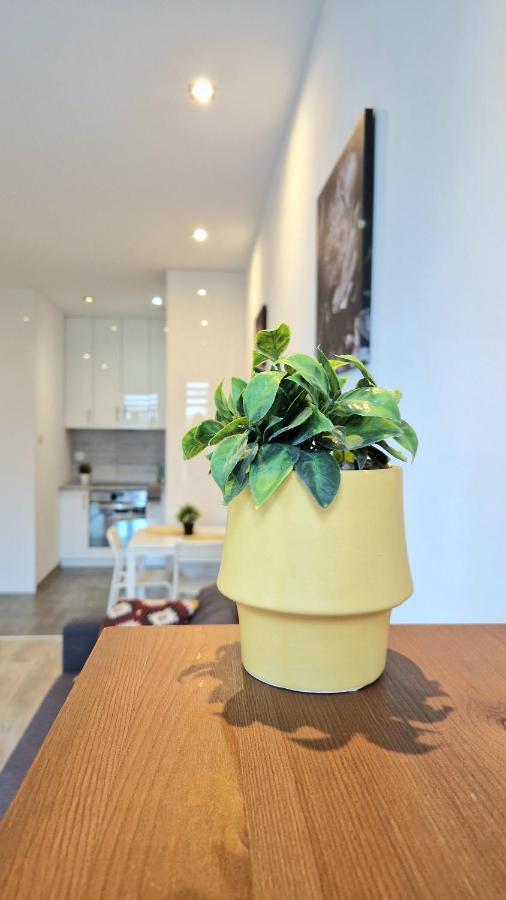 Apartament Czechowska Comfort Lublin Extérieur photo